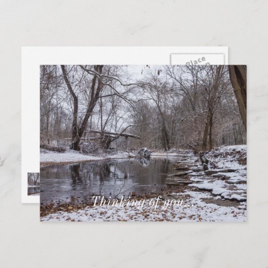 Carte Postale Finley Hiver Neige Pensées pour toi (Devant / Derrière)