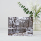 Carte Postale Finley Hiver Neige Pensées pour toi (Debout devant)