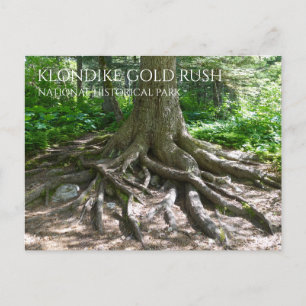 Carte Postale Finnegan's Point, Chilkoot Trail, Gold Rush PSN