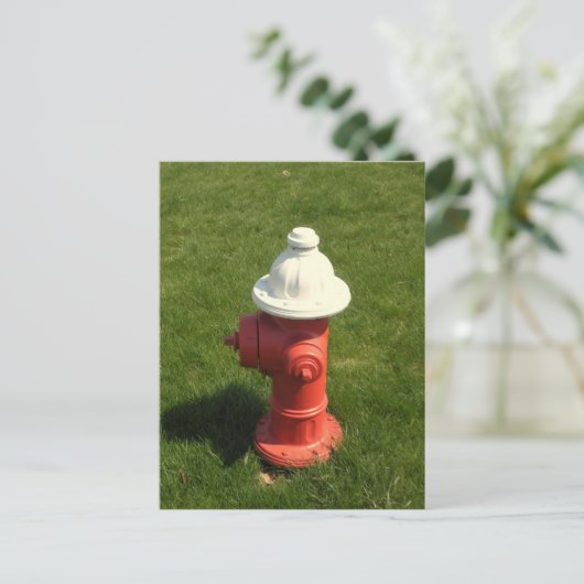 Carte postale Fire Hydrant ! (Debout devant)