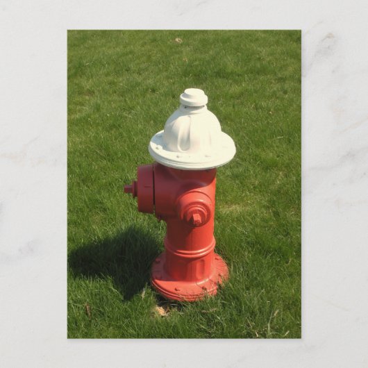 Carte postale Fire Hydrant ! (Devant)