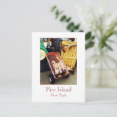 Carte postale 'Fire Island Colour Wagons' (Debout devant)