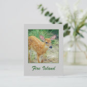 Carte postale 'Fire Island Fawn' (Debout devant)