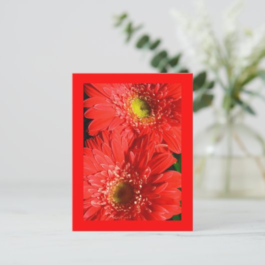 Carte Postale Fire Red Gerbera (Debout devant)