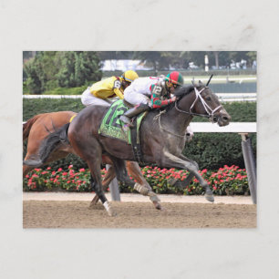 Carte Postale Firenze Fire Irad Ortiz Jr