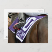 Carte Postale Firenze Fire Saddlecloth (Devant / Derrière)