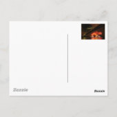 Carte Postale Firework Lisbonne (Dos)