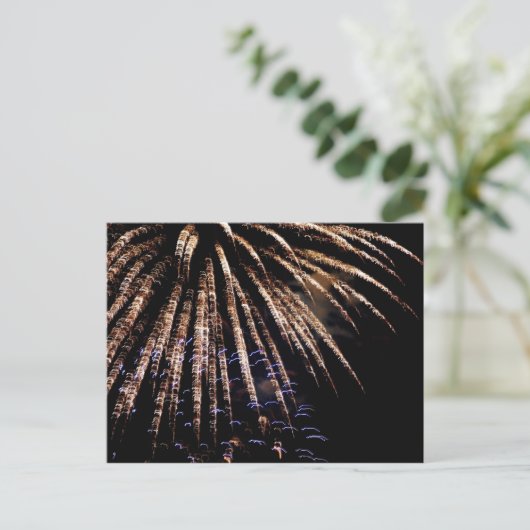 Carte postale Fireworks (Debout devant)