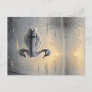 Carte postale First Light Kin Swan