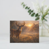 Carte Postale First Light | Whitetail Deer Art | Postcard (Debout devant)