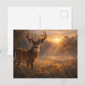 Carte Postale First Light | Whitetail Deer Art | Postcard (Devant / Derrière)