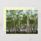 Carte Postale Fish Lake, Utah (Devant / Derrière)