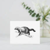Carte Postale Fisher (Debout devant)