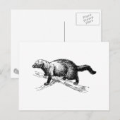 Carte Postale Fisher (Devant / Derrière)