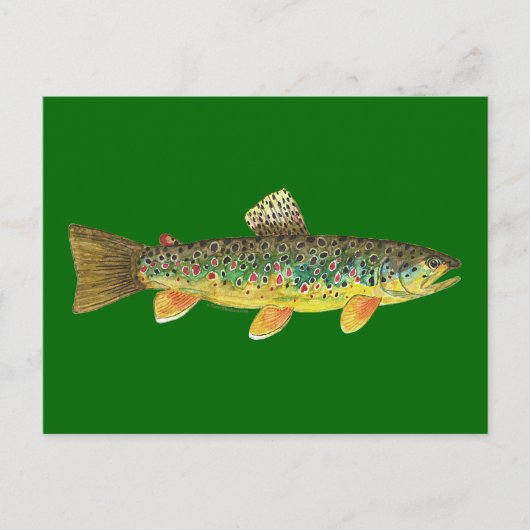 Carte Postale Fishing (Devant)