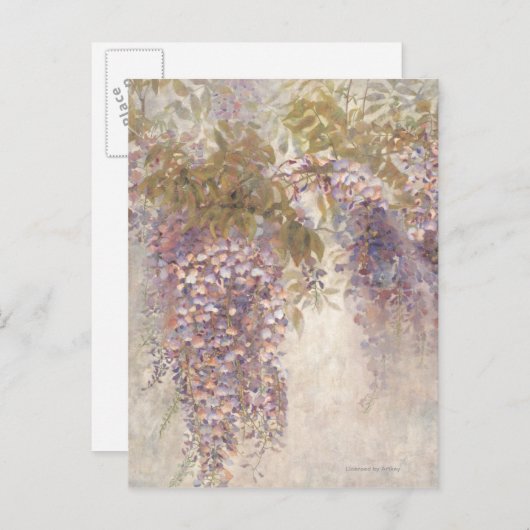 Carte Postale Fissure (Devant / Derrière)