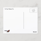 Carte Postale Five Finger Maidenhair Fern (Dos)