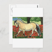 Carte Postale Fjord HORSE DE Norvège (Devant / Derrière)