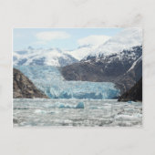 Carte Postale Fjord Tracy Arm (Devant)