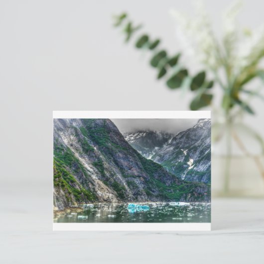 Carte Postale Fjord Tracy Arm en Alaska (Debout devant)