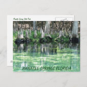 Carte postale Fl Manatee Springs (Devant / Derrière)