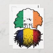 Carte Postale Flag de l'Ireland Tree Roots (Devant / Derrière)