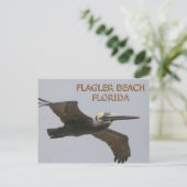 Carte postale Flagler Beach Pelican (Debout devant)