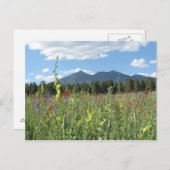 Carte Postale Flagstaff, AZ (Devant / Derrière)