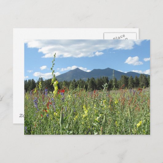 Carte Postale Flagstaff, AZ (Devant / Derrière)