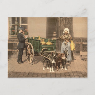 Carte Postale Flamande vintage