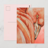 Carte Postale Flamant  (Devant / Derrière)