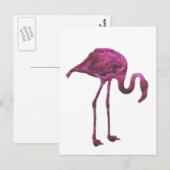 Carte Postale flamant (Devant / Derrière)