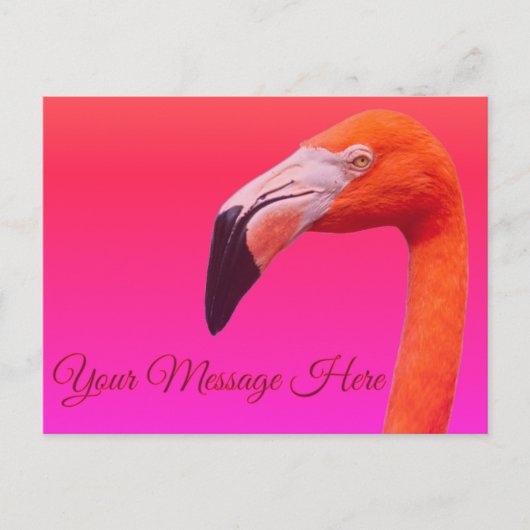 Carte Postale Flamant (Devant)
