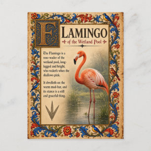 Carte Postale Flamant, Art du Bestiaire Médiéval