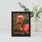 Carte Postale Flamant avec un texte rose "flamant" (Debout devant)