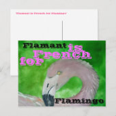 Carte postale Flamant rose (Devant / Derrière)
