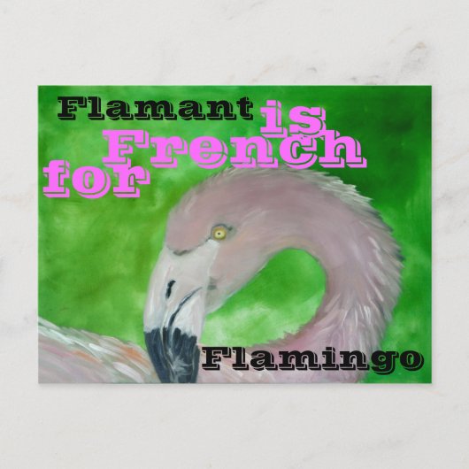 Carte postale Flamant rose (Devant)