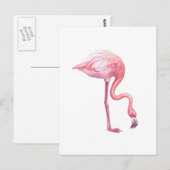 Carte Postale Flamant rose (Devant / Derrière)