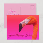 Carte postale flamant rose (Devant / Derrière)