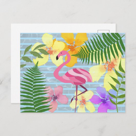 Carte Postale Flamant rose (Devant / Derrière)