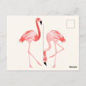 Carte Postale Flamant rose (Dos)
