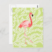 Carte Postale Flamant rose (Devant / Derrière)