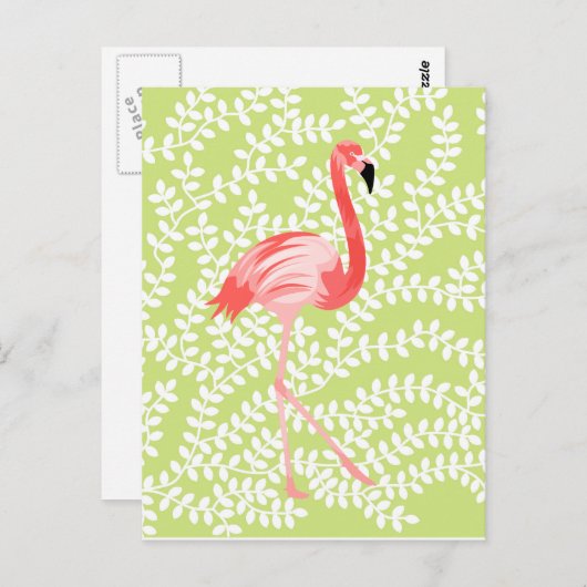 Carte Postale Flamant rose (Devant / Derrière)