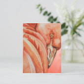 Carte Postale Flamant rose (Debout devant)