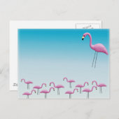 Carte Postale Flamant rose (Devant / Derrière)