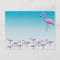 Flamant rose