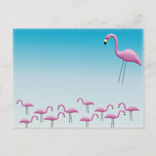Carte Postale Flamant rose