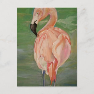 Carte Postale Flamant rose