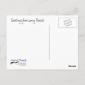 Carte postale Flamant rose (Dos)