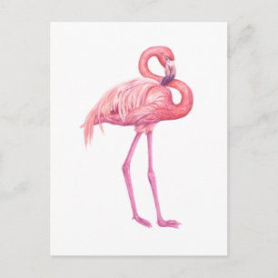 CARTE POSTALE FLAMANT ROSE 2